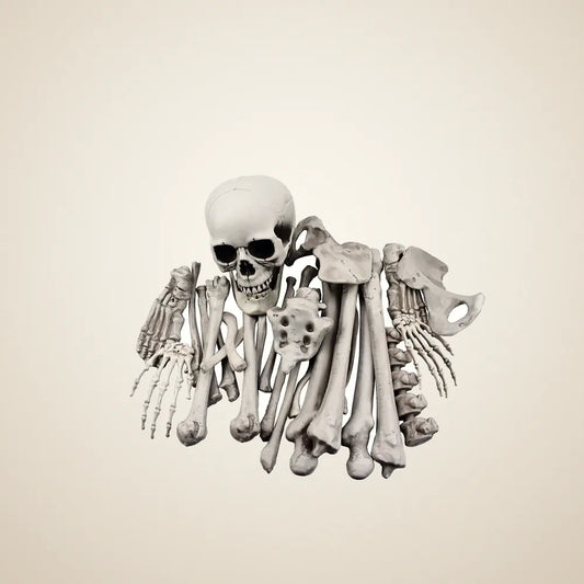Adobewick Loose Bones, 28 pieces, photo 1