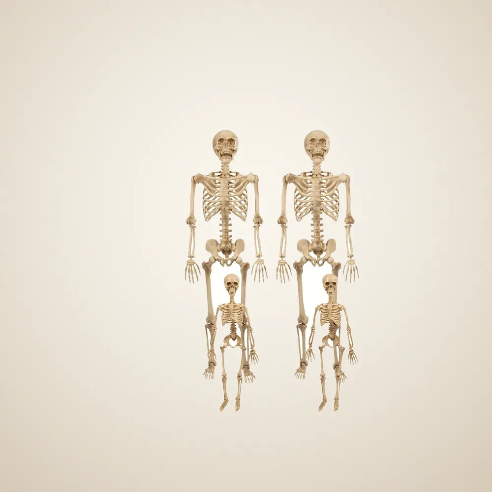 Badlandholt Skeleton Family, 4 pack, photo 1