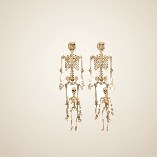 Badlandholt Skeleton Family, 4 pack, photo 1