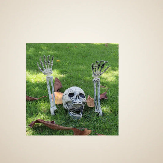 Barnwick Buried Skeleton, photo 1
