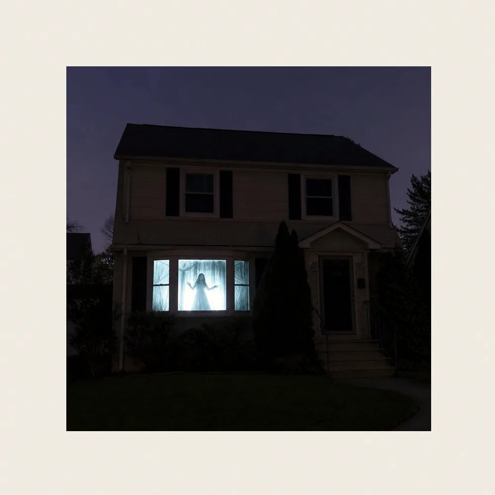 Branchwater Window Projector, photo 5