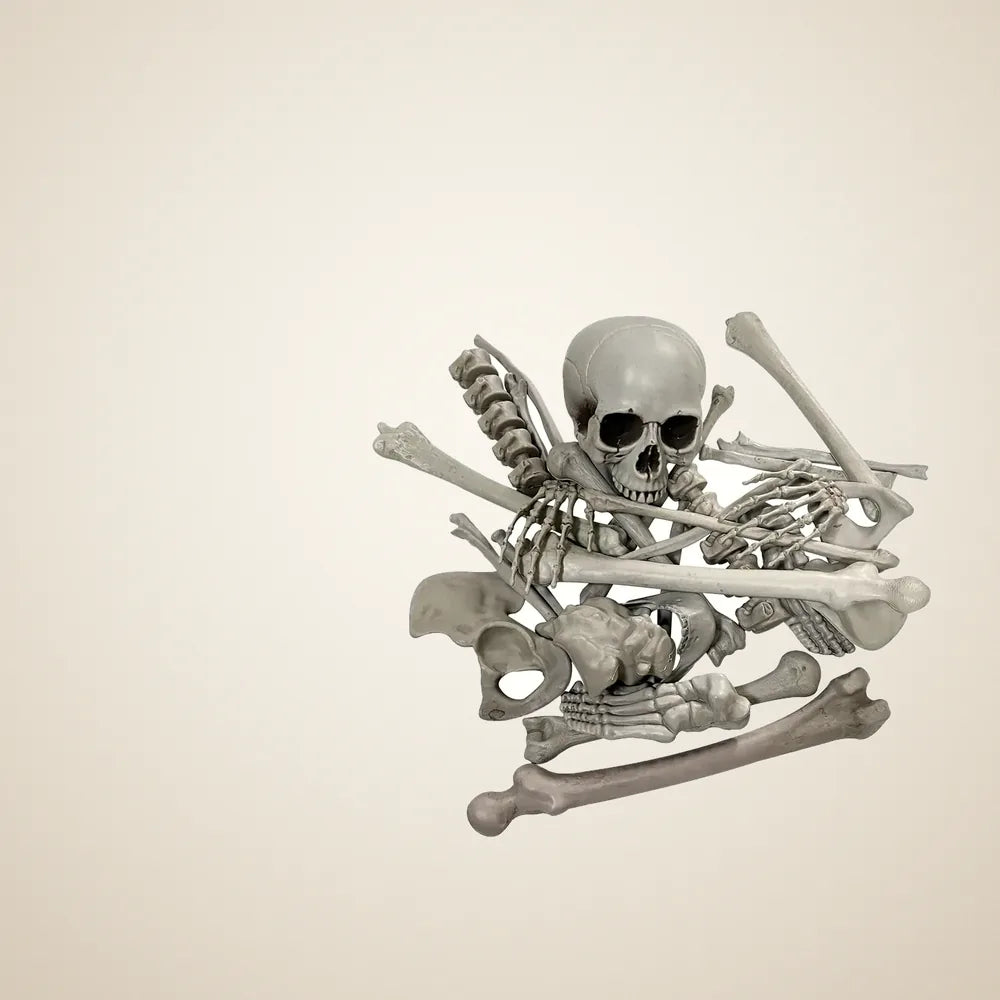 Buckboard Skeleton, photo 1