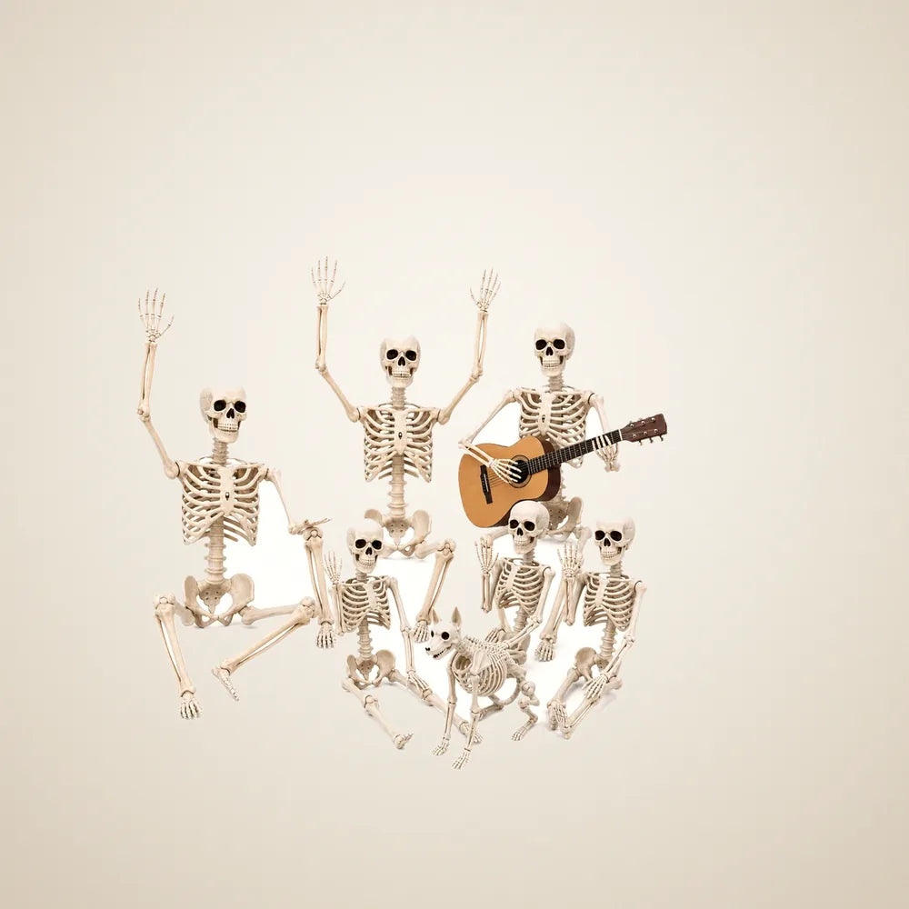 Cartwheel Skeleton 6 pack (3 x 5.4 ft + 3 x 3 ft), photo 1
