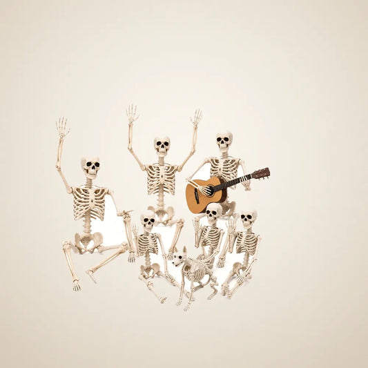 Cartwheel Skeleton 6 pack (3 x 5.4 ft + 3 x 3 ft), photo 1