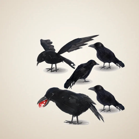Copperwick Crows, 5 pack, photo 1