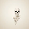Copperwick Skeleton, photo 1