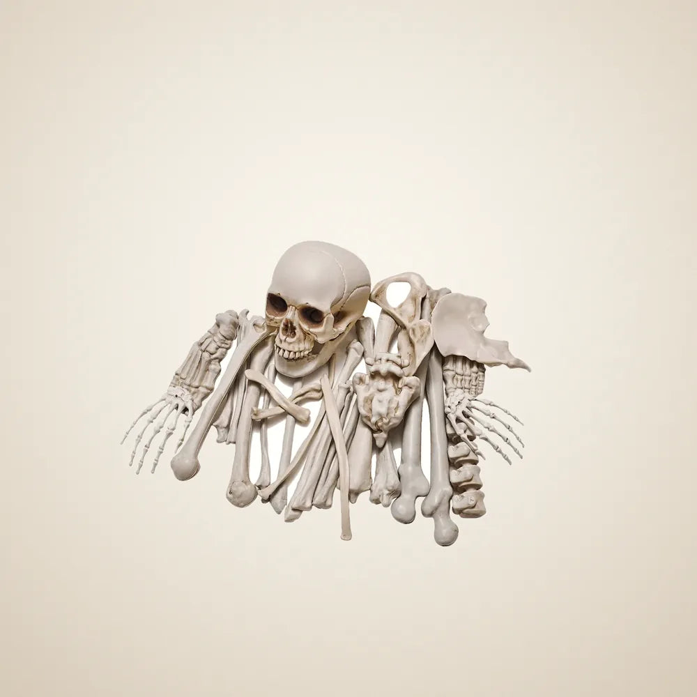 Hitching Post Loose Bones, 28 pieces, photo 1
