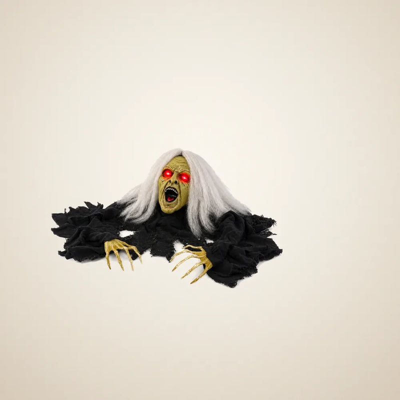 Steeple Row Witch Animatronic, photo 1